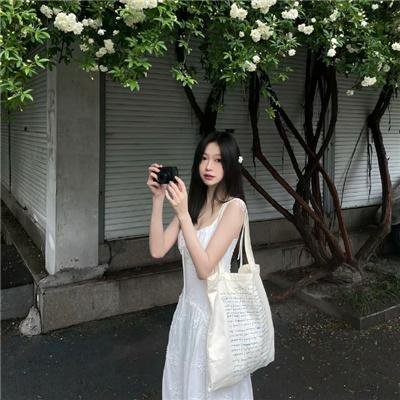 白鹭谣